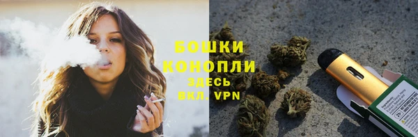 стафф Заводоуковск