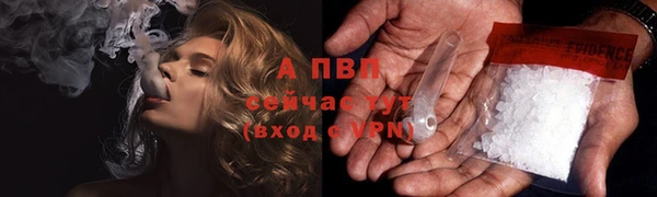 стафф Заводоуковск