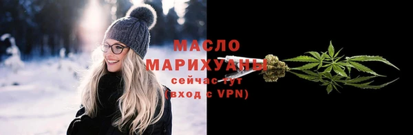 сатива Няндома