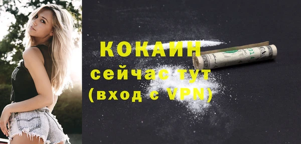 стафф Заводоуковск