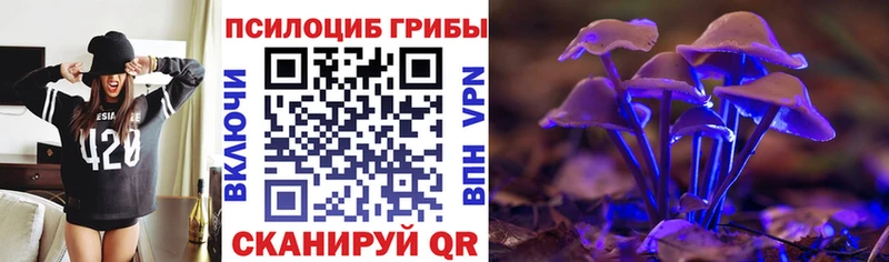 купить сайты Петров Вал Псилоцибиновые грибы MAGIC MUSHROOMS